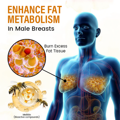 JEREMYTIS™ Venom Define Bee Venom Gynecomastia Oil